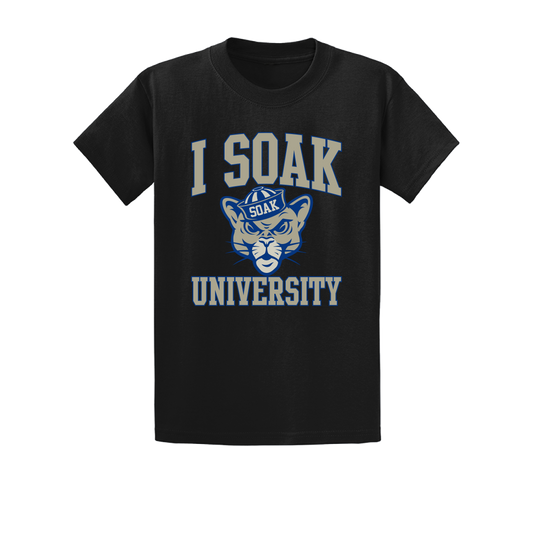 I Soak University